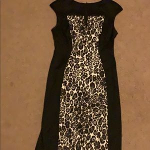 Color block leopard dress